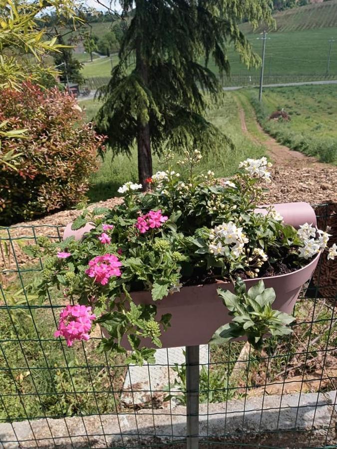 Bb Lady Bed & Breakfast Castelvetro di Modena Exterior foto