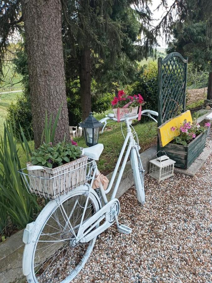 Bb Lady Bed & Breakfast Castelvetro di Modena Exterior foto