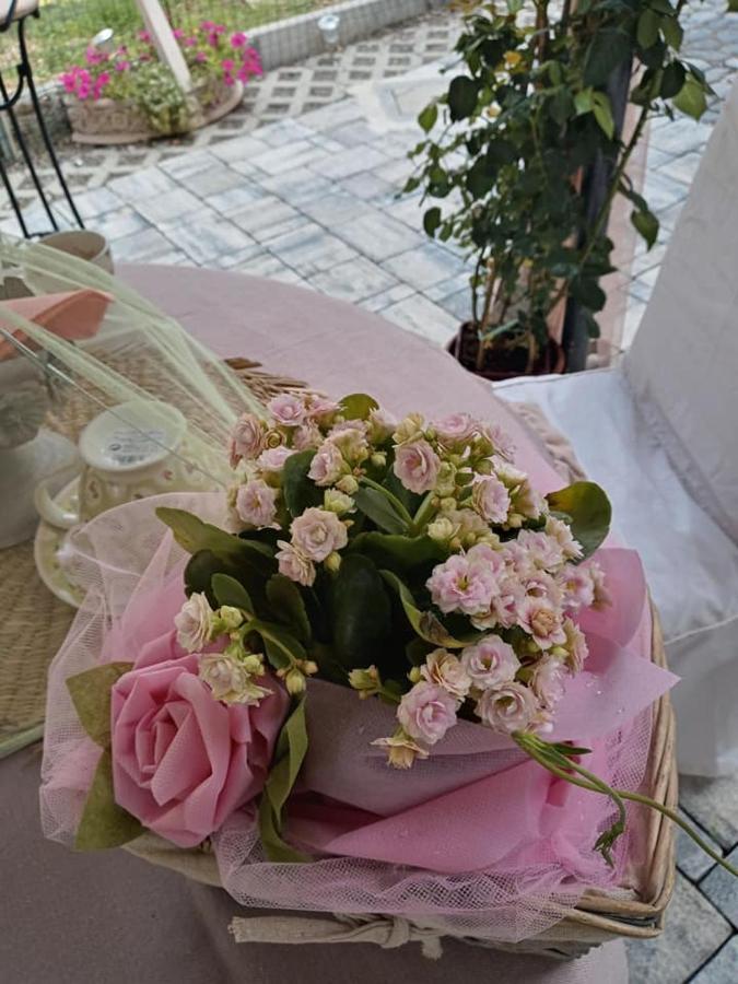 Bb Lady Bed & Breakfast Castelvetro di Modena Exterior foto